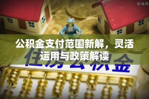 沙湾公积金支付范围新解，灵活运用与政策解读