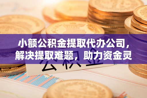 沙湾小额公积金提取代办公司，解决提取难题，助力资金灵活使用