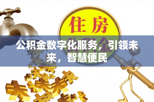 沙湾公积金数字化服务，引领未来，智慧便民