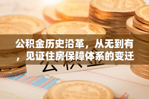 沙湾公积金历史沿革，从无到有，见证住房保障体系的变迁