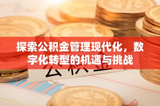 沙湾探索公积金管理现代化，数字化转型的机遇与挑战
