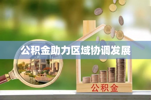 沙湾公积金助力区域协调发展