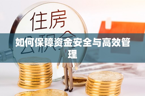 沙湾如何保障资金安全与高效管理