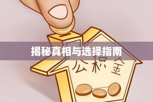 沙湾揭秘真相与选择指南