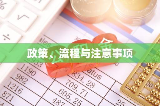 沙湾政策、流程与注意事项