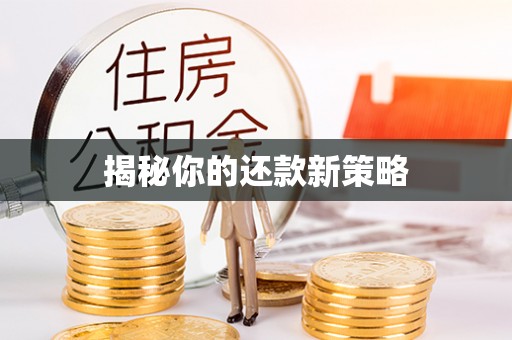 沙湾揭秘你的还款新策略