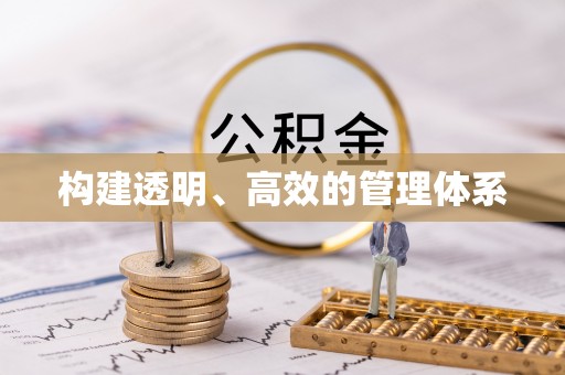 沙湾构建透明、高效的管理体系
