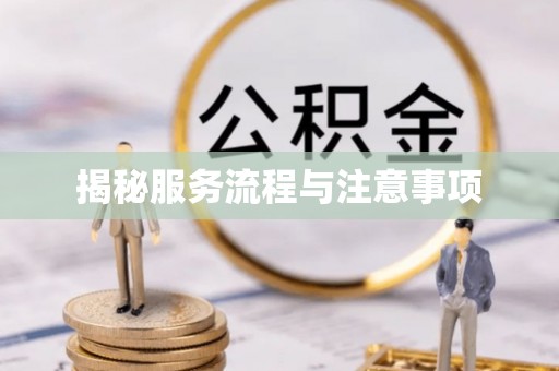 沙湾揭秘服务流程与注意事项