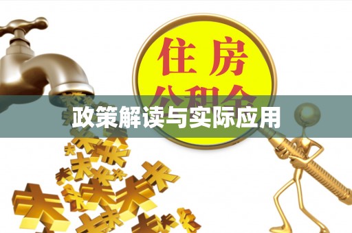 沙湾政策解读与实际应用