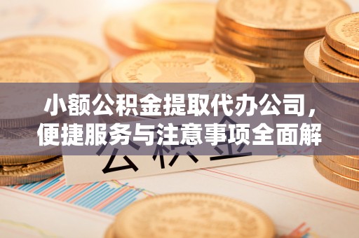 沙湾小额公积金提取代办公司，便捷服务与注意事项全面解析