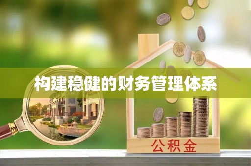 沙湾构建稳健的财务管理体系