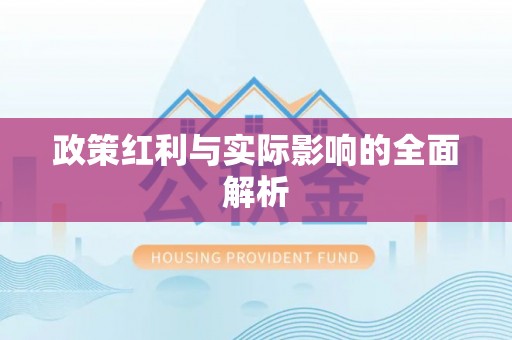 沙湾政策红利与实际影响的全面解析