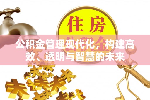 沙湾公积金管理现代化，构建高效、透明与智慧的未来
