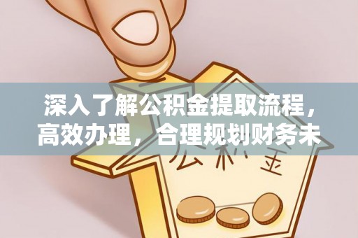 沙湾深入了解公积金提取流程，高效办理，合理规划财务未来