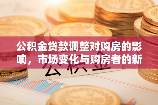 沙湾公积金贷款调整对购房的影响，市场变化与购房者的新选择
