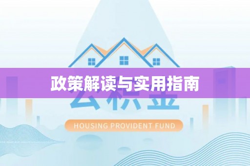 沙湾政策解读与实用指南