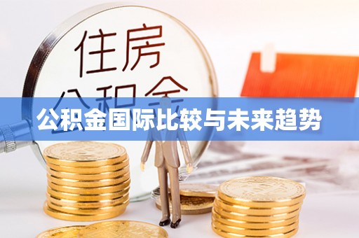 沙湾公积金国际比较与未来趋势