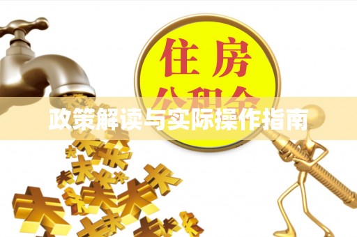 沙湾政策解读与实际操作指南