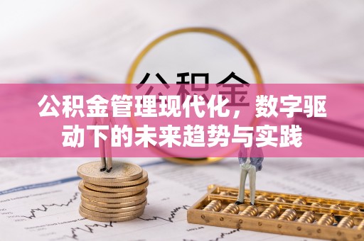 沙湾公积金管理现代化，数字驱动下的未来趋势与实践