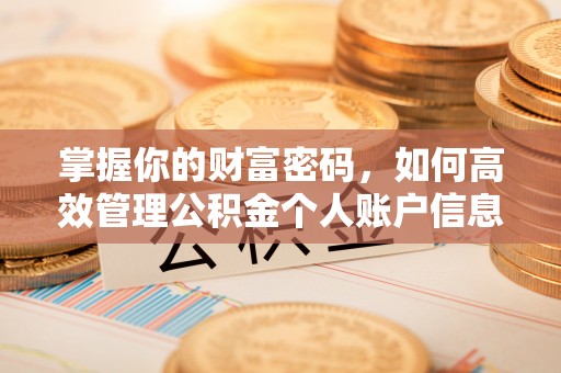 沙湾掌握你的财富密码，如何高效管理公积金个人账户信息