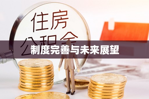 沙湾制度完善与未来展望