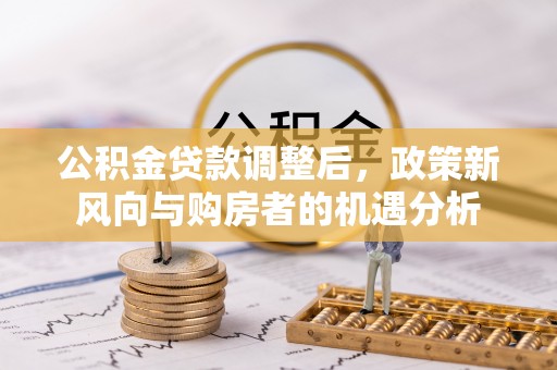 沙湾公积金贷款调整后，政策新风向与购房者的机遇分析