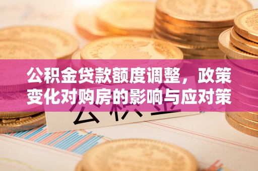 沙湾公积金贷款额度调整，政策变化对购房的影响与应对策略