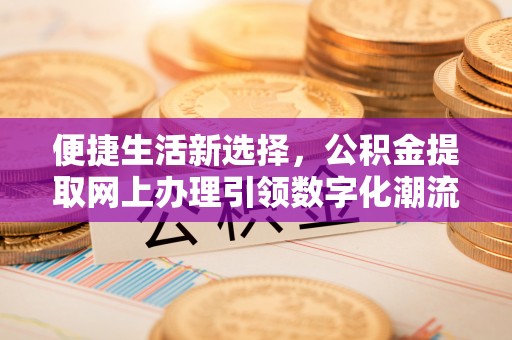 沙湾便捷生活新选择，公积金提取网上办理引领数字化潮流