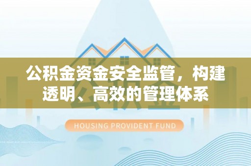 沙湾公积金资金安全监管，构建透明、高效的管理体系