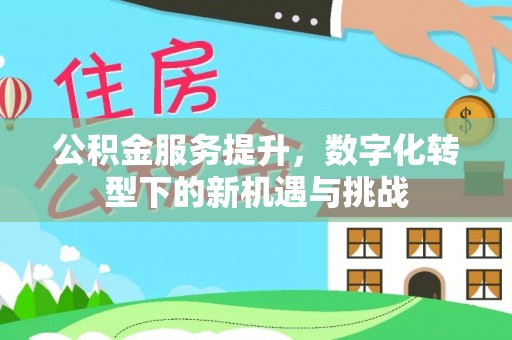 沙湾公积金服务提升，数字化转型下的新机遇与挑战
