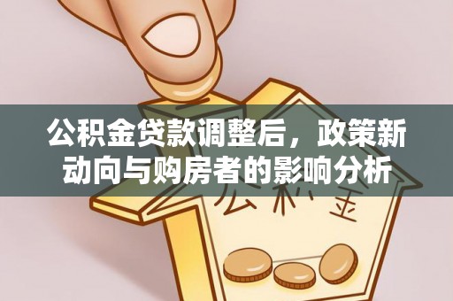 沙湾公积金贷款调整后，政策新动向与购房者的影响分析