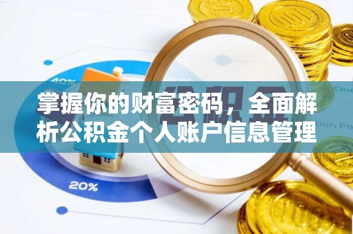 沙湾掌握你的财富密码，全面解析公积金个人账户信息管理与优化