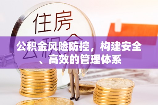 沙湾公积金风险防控，构建安全、高效的管理体系