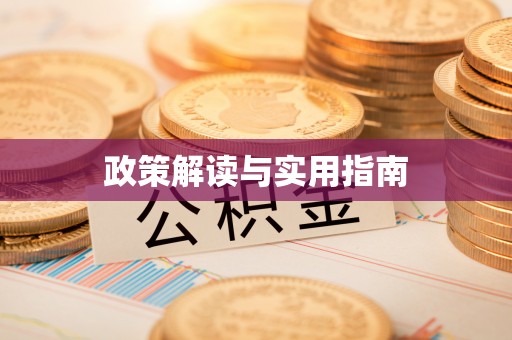 沙湾政策解读与实用指南