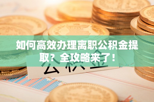 沙湾如何高效办理离职公积金提取？全攻略来了！
