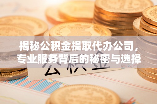 沙湾揭秘公积金提取代办公司，专业服务背后的秘密与选择指南
