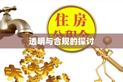 沙湾透明与合规的探讨