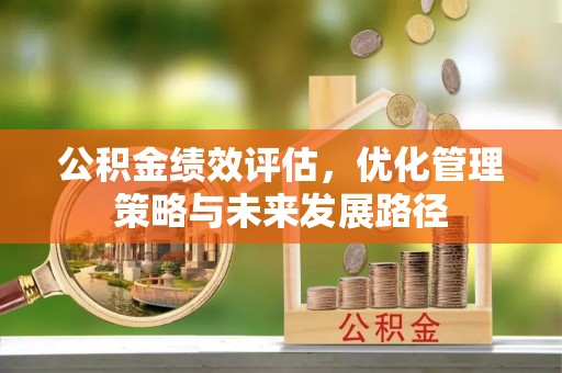沙湾公积金绩效评估，优化管理策略与未来发展路径