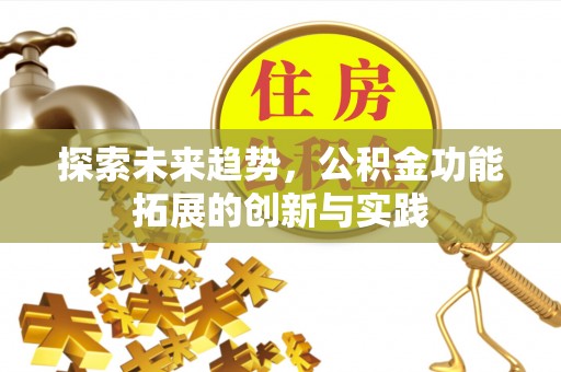 沙湾探索未来趋势，公积金功能拓展的创新与实践