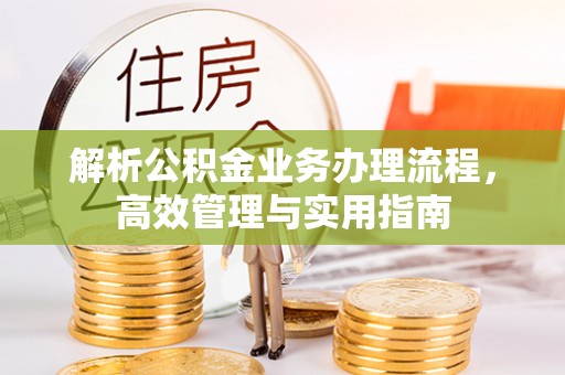 沙湾解析公积金业务办理流程，高效管理与实用指南