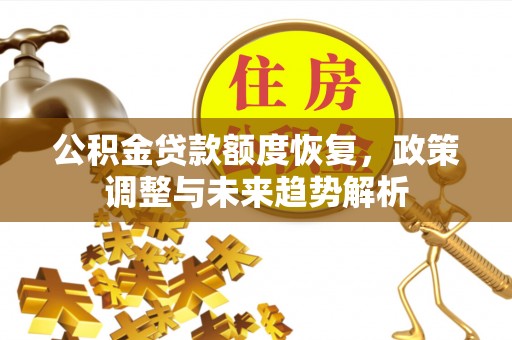沙湾公积金贷款额度恢复，政策调整与未来趋势解析