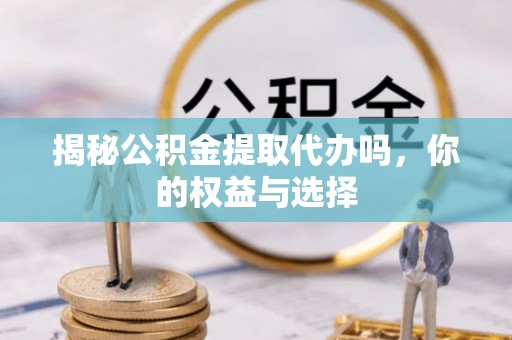 沙湾揭秘公积金提取代办吗，你的权益与选择