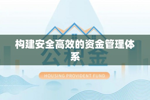 沙湾构建安全高效的资金管理体系