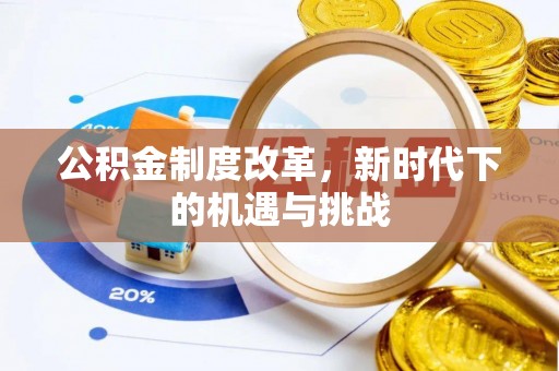 沙湾公积金制度改革，新时代下的机遇与挑战
