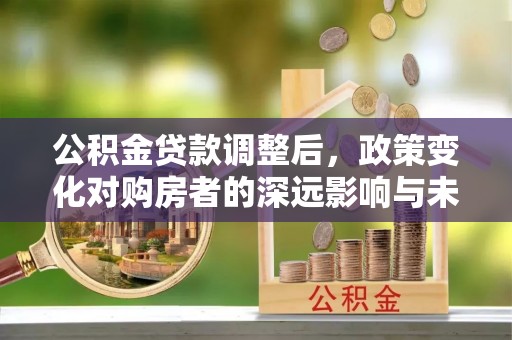 沙湾公积金贷款调整后，政策变化对购房者的深远影响与未来趋势分析