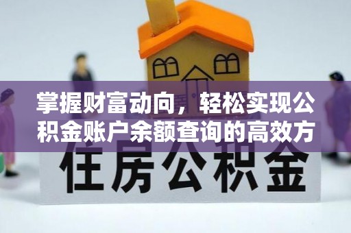 沙湾掌握财富动向，轻松实现公积金账户余额查询的高效方式