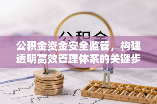 沙湾公积金资金安全监管，构建透明高效管理体系的关键步骤