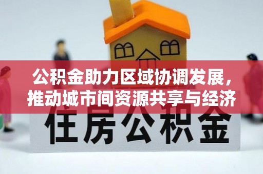沙湾公积金助力区域协调发展，推动城市间资源共享与经济均衡发展