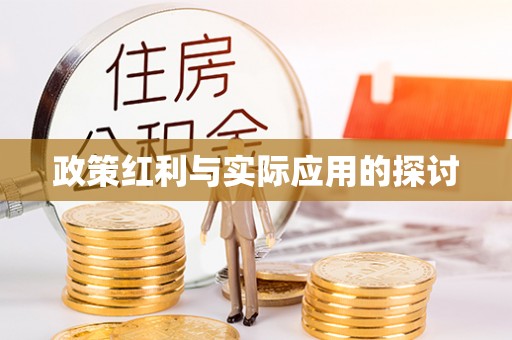 沙湾政策红利与实际应用的探讨
