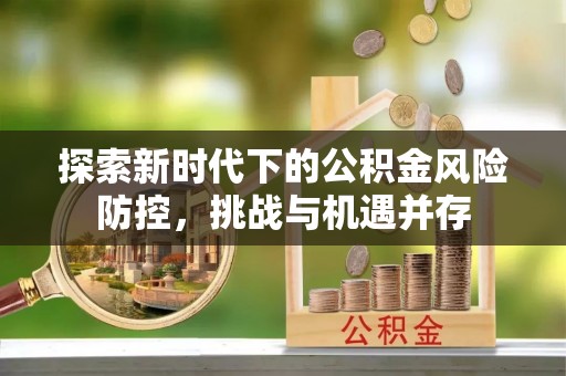 沙湾探索新时代下的公积金风险防控，挑战与机遇并存